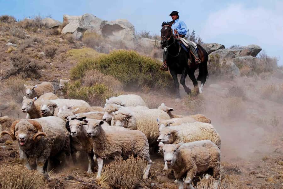 25 DE MAYO FARM - Where Estancia 25 de Mayo fits on your El Calafate trip