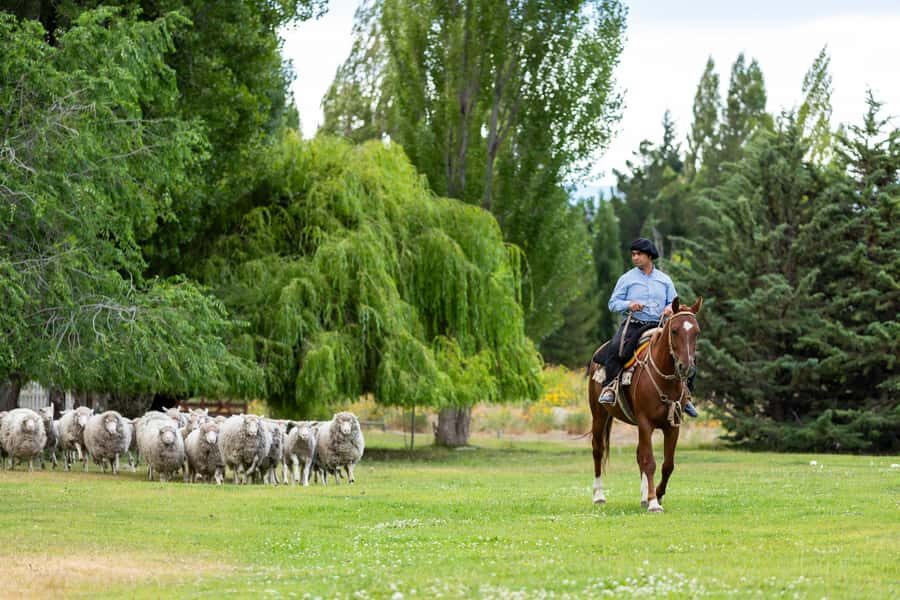 25 DE MAYO FARM - Dinner show at El Quincho: what’s included and what to expect