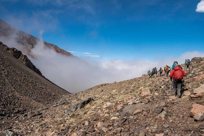 Andes Day Hiking Tour Experience - Wildlife, plants, and guide talk: what you’ll learn while you hike