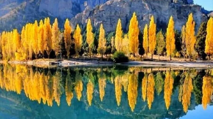 Bariloche: 7 Lakes & San Martin de Los Andes Road Trip - Seven Lakes Viewpoints: From Correntoso to Machonico