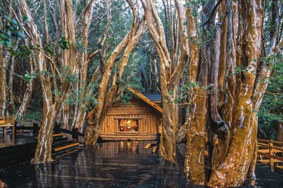 Bariloche: Arrayanes Forest and Victoria Island Tour - Should You Book the Arrayanes Forest and Victoria Island Tour?