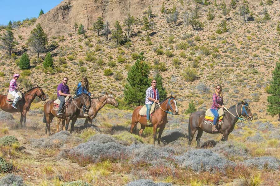 Bariloche: Guided horseback rides in the Patagonian steppe - Key things I’d circle before you go