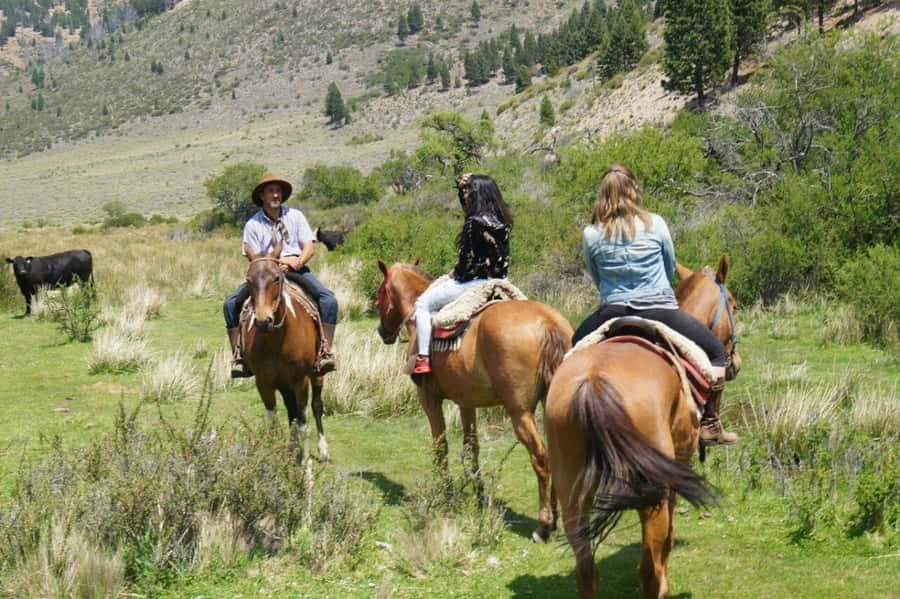Bariloche: Guided horseback rides in the Patagonian steppe - Two hours on horseback: steppe terrain, water crossings, and panoramic views