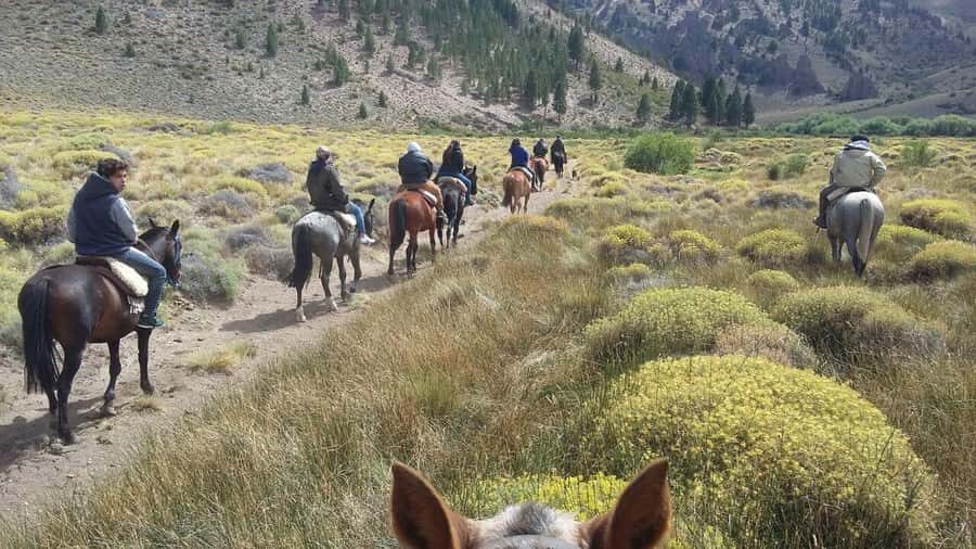 Bariloche: Guided horseback rides in the Patagonian steppe - La Fragua breakfast: wildlife and flora briefing before you mount up