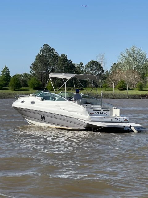 Best of Delta Buenos Aires Private Boat Tour: Enjoy More - Núñez Pickup and Getting to the Pier Without Stress