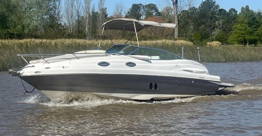 Best of Delta Buenos Aires Private Boat Tour: Enjoy More - Who This Tigre Delta Private Boat Tour Suits Best