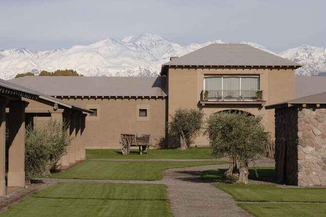 Bike Tour in Mendoza Wine Country - Quick hits before you book
