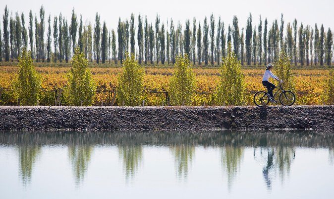 Bike Tour in Mendoza Wine Country - Starting in Vistalba: pickup, bikes, and a real safety briefing