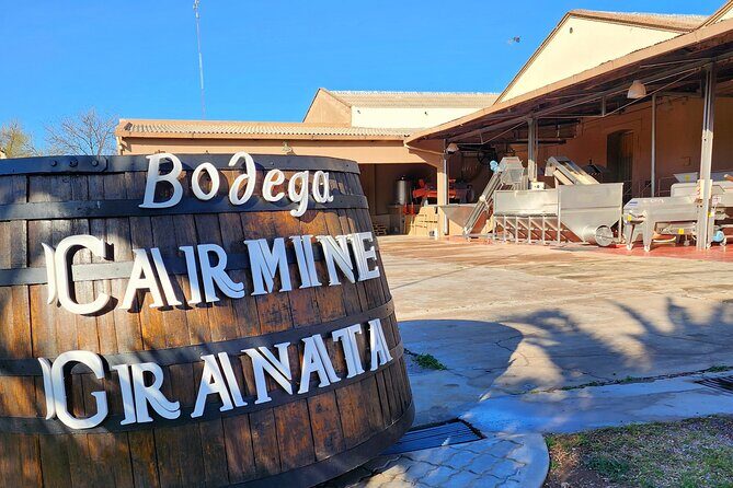 Bike Tour in Mendoza Wine Country - The guide can make or break the day