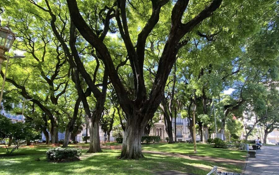 Buenos Aires: 7 Hour Small Group "BA 101" Walk - Recoleta Cemetery and Evita’s Last Rest: A place that changes the tempo