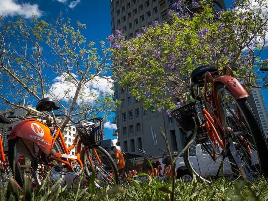 Buenos Aires Bike Tour: South or North Circuit - Key highlights to know before you pedal