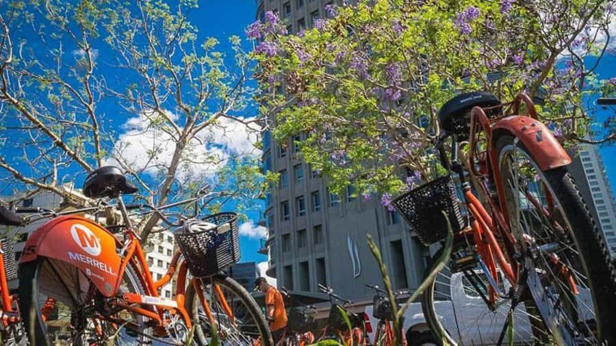 Buenos Aires Bike Tour: South or North Circuit - North Circuit: Puerto Madero first, then Recoleta’s grand architecture and parks