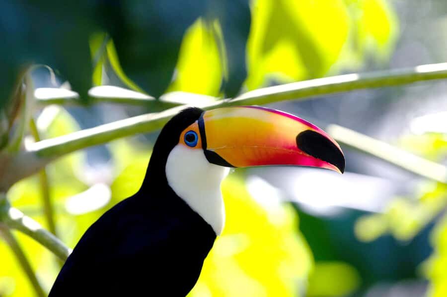 Buenos Aires: Bioparque Temaiken with Transfers - Aquarium plus 360º cinema: where your senses get a rest