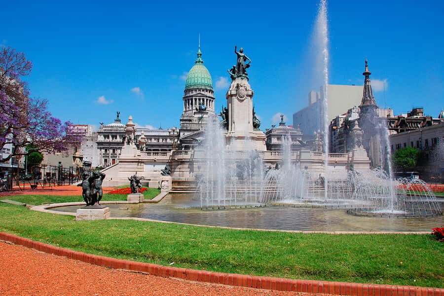 Buenos Aires City Tour with Luxury Lunch - Price and Value at $143 for a 5-Hour Premium City Tour