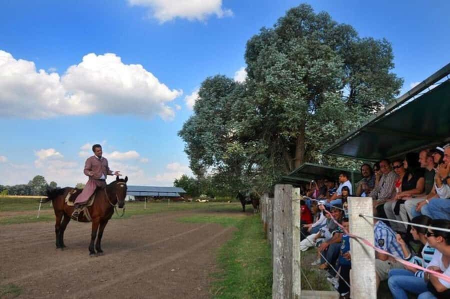Buenos Aires: Don Silvano Ranch Gaucho Day Trip - Key things to know before you go