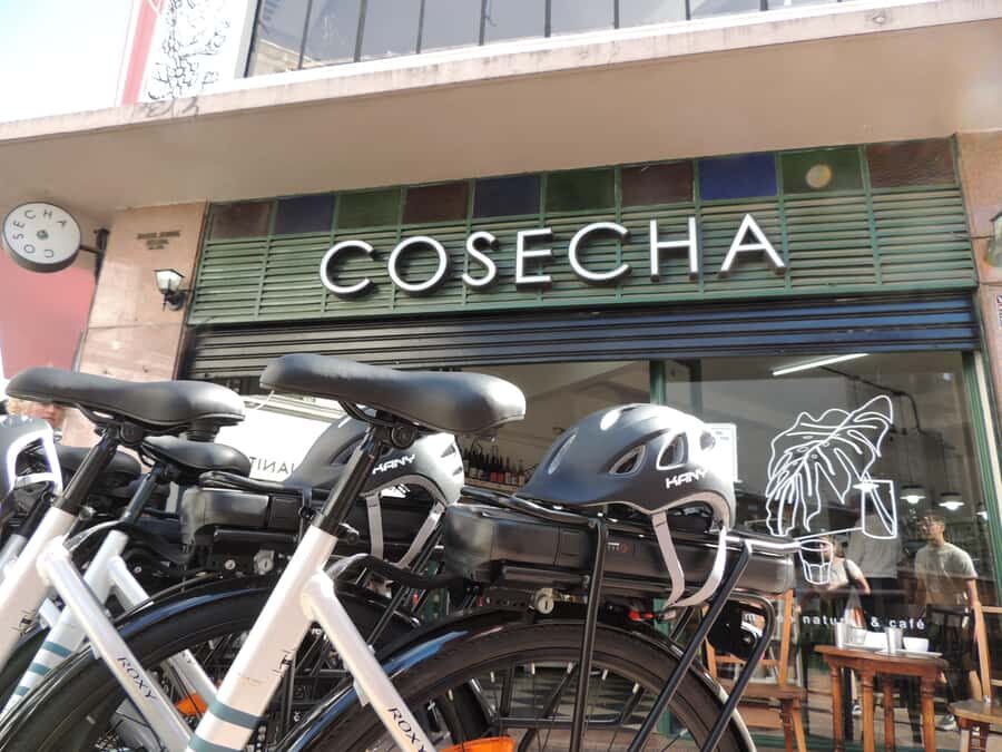 Buenos Aires: E-Bike Tour in the South Circuit of Buenos Aires - Puerto Madero unwind and Costanera Sur nature time