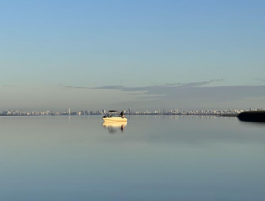 Buenos Aires: Private Delta Boat Tour with Barbecue onboard - Weather and comfort: how the day adapts