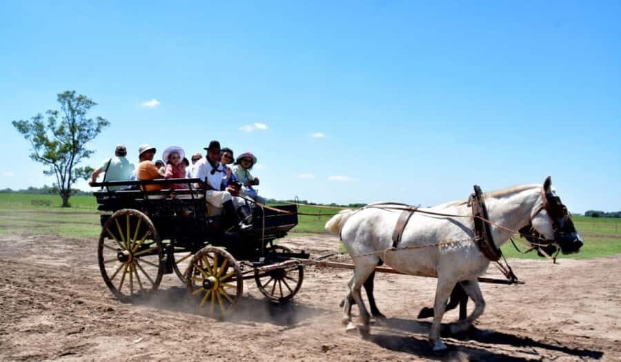 Buenos Aires: Santa Susana Ranch Day Tour, BBQ & Shows - Key highlights worth your time