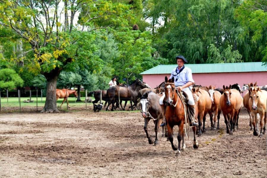 Buenos Aires: Santa Susana Ranch Day Tour, BBQ & Shows - Empanadas, wine, and antique-ranch timekeeping
