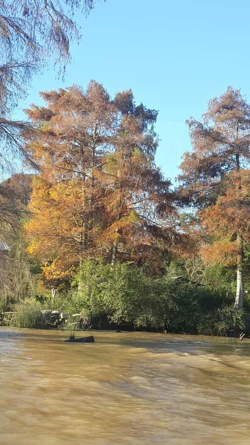 Buenos Aires: Ticket - Classic Delta of Tigre Boat Tour - Price and value: does $27 buy enough Delta for one hour?