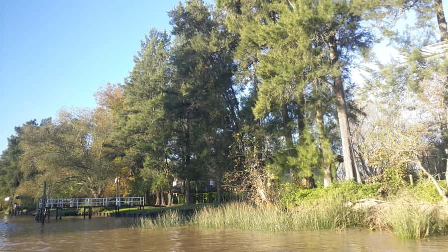 Buenos Aires: Ticket - Classic Delta of Tigre Boat Tour - FAQ