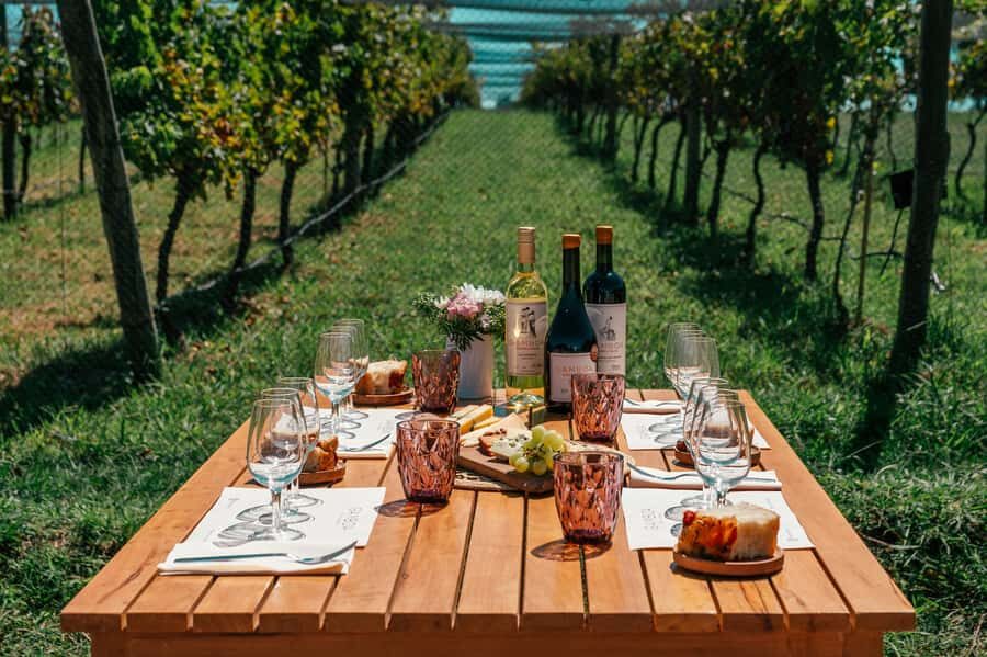 Buenos Aires: Wine Tasting & Lunch at Gamboa Vineyard - Key moments that make this tour worth your time