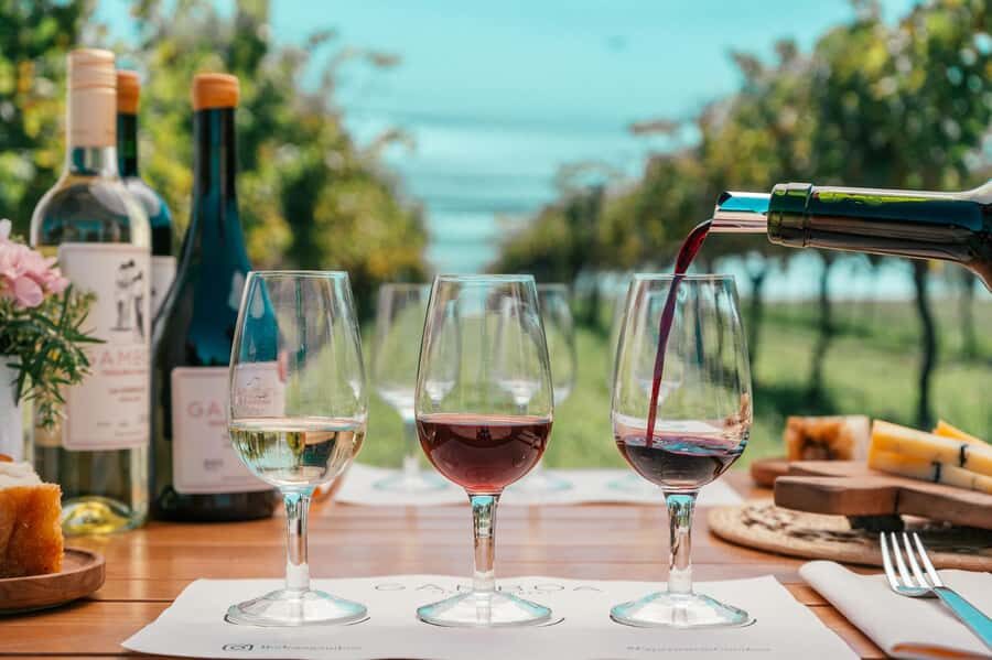 Buenos Aires: Wine Tasting & Lunch at Gamboa Vineyard - A short trip from Buenos Aires to Gamboa’s quiet vines