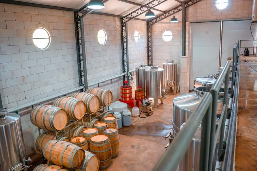 Buenos Aires: Wine Tasting & Lunch at Gamboa Vineyard - Who should book this Gamboa day trip (and who might not)