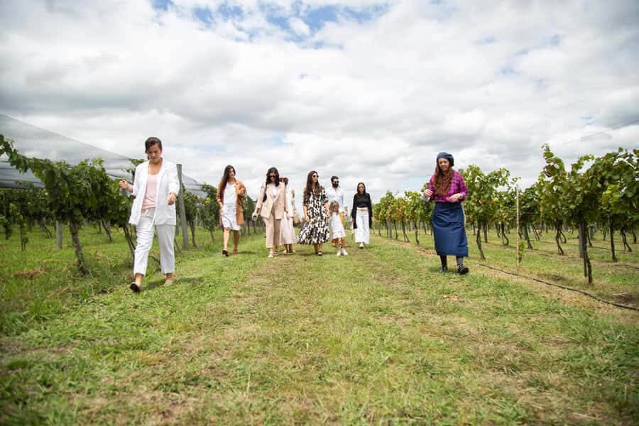 Buenos Aires: Wine Tasting & Lunch at Gamboa Vineyard - FAQ