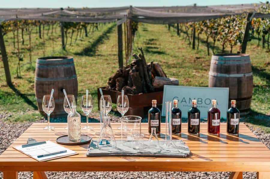 Buenos Aires: Wine Tasting & Lunch at Gamboa Vineyard - The tour flow: sparkling welcome, guided vineyard walk, and a winery visit
