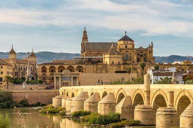 City of Caliphs: A Self-Guided Walking Tour of Córdoba’s History - Orange Tree Courtyard: A Quiet Reset Inside the Mosque-Cathedral Complex