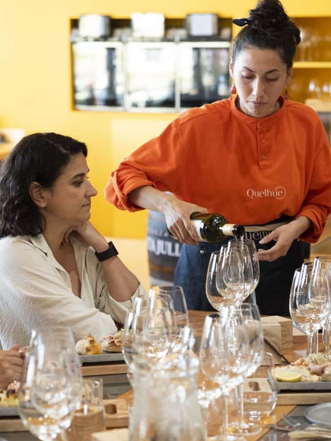 City tour and Wine tasting - The wine tasting: 3 Patagonian wines plus cheese pairings