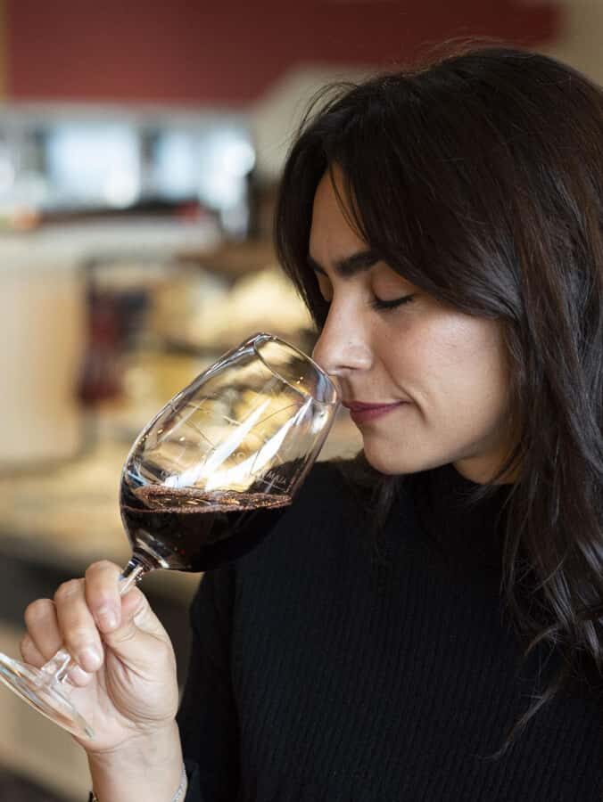 City tour and Wine tasting - Starting from hotels in Ushuaia: how the day begins