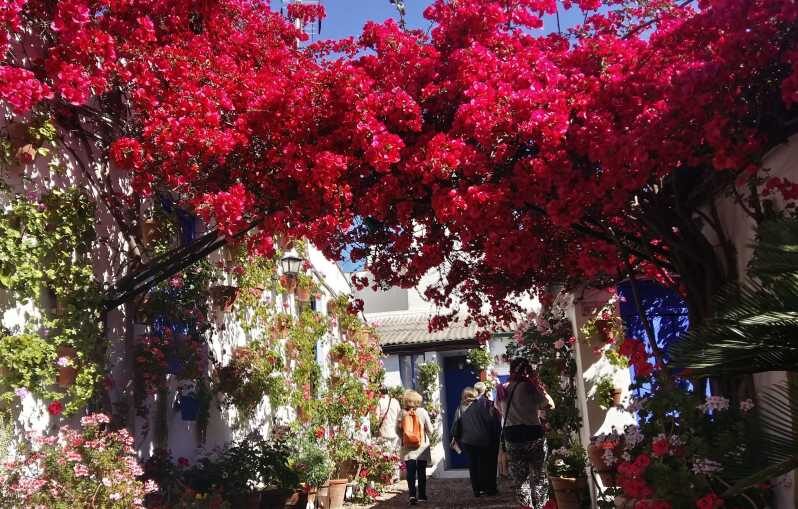 Cordoba Courtyards by Bike, Electric Bike - Key highlights before you go