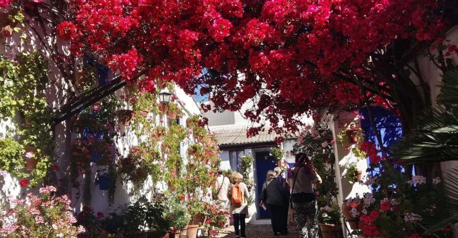 Cordoba Courtyards by Bike, Electric Bike - Choosing electric vs normal bikes without changing the tour
