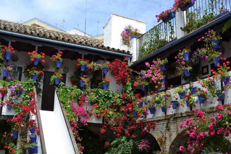 Cordoba Courtyards by Bike, Electric Bike - The ride through Córdoba: see the city between the courtyards