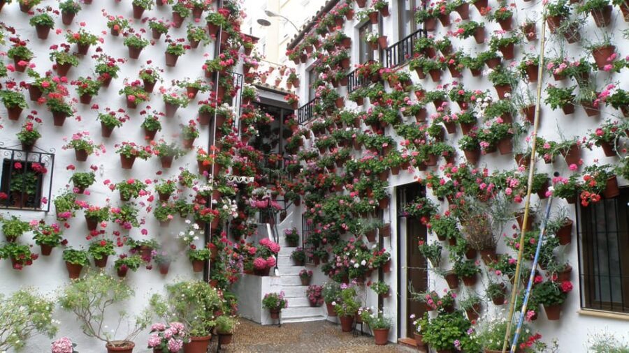 Cordoba Courtyards by Bike, Electric Bike - The guide and operator duo: Jorge’s route sense and Miguel’s e-bike help