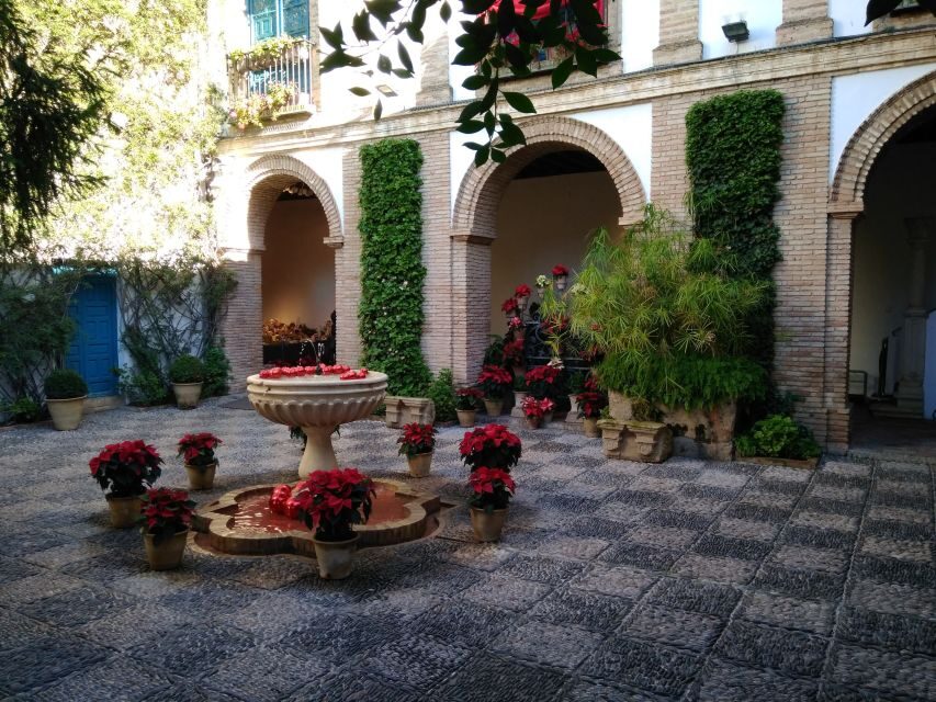 Córdoba Highlights Walking Tour - Price and value: Why $71 feels fair for a 2-hour highlights walk