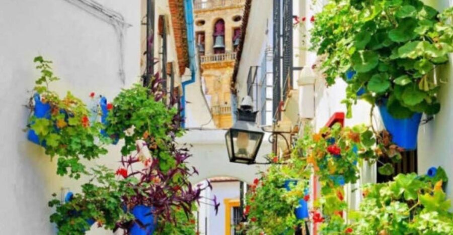 Cordoba: Historical Monuments of Cordoba City Walking Tour - Key highlights at a glance
