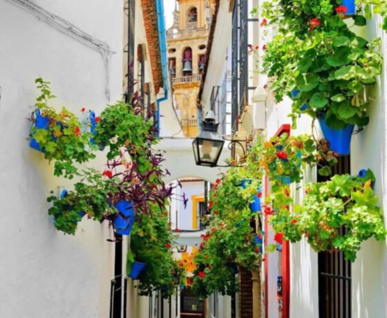 Cordoba: Historical Monuments of Cordoba City Walking Tour - The Jewish Quarter stops: synagogue, Casa Andalusí, and street-level context
