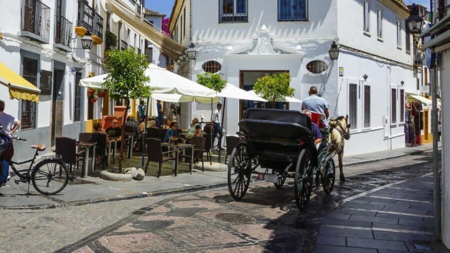 Cordoba: Historical Monuments of Cordoba City Walking Tour - Price and value: why $49 can make sense