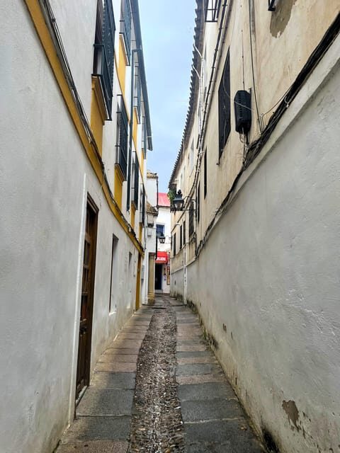 Cordoba: Jewish History Private Tour - Languages, group size, and pace you can plan around