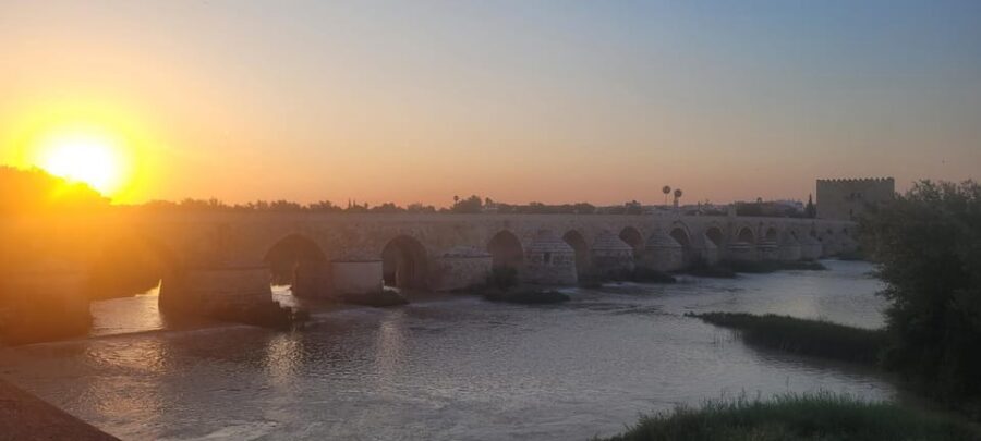 Córdoba Mid-Morning Walk - Small Groups, Native English. - Food and coffee right after: how to keep the morning going