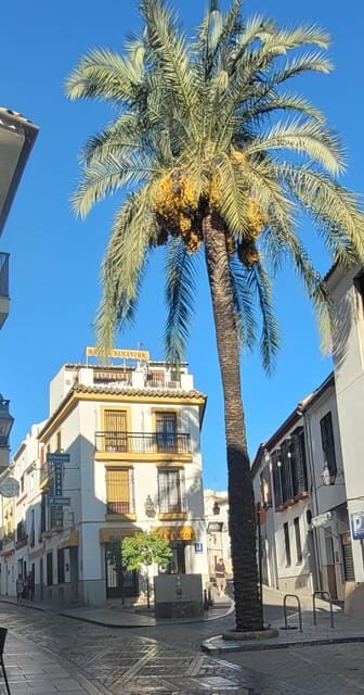 Córdoba Mid-Morning Walk - Small Groups, Native English. - Who this tour suits best (and who should think twice)
