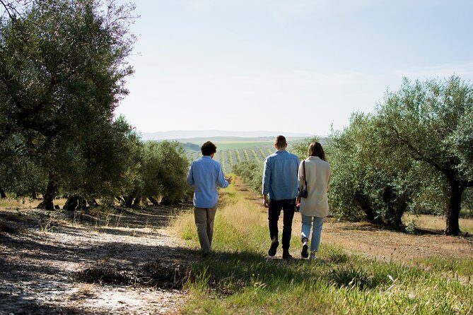 Cordoba Olive Oil mill, Wine, Passion - Key things to know before you go