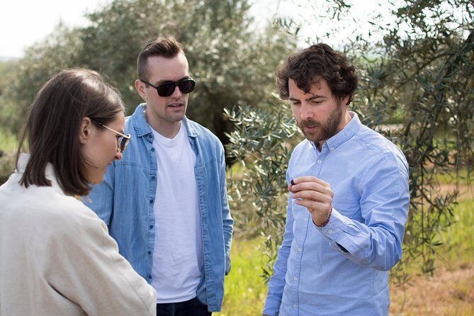 Cordoba Olive Oil mill, Wine, Passion - Inside the oil-making stop: how production changed over time