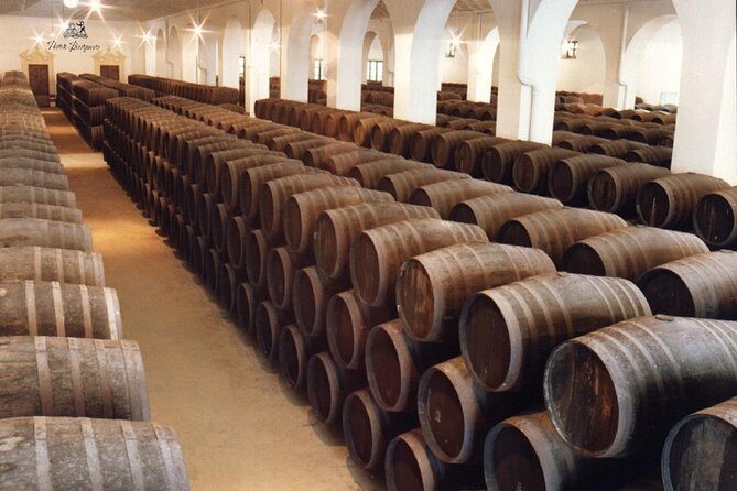 Cordoba Olive Oil mill, Wine, Passion - Olive oil tasting: what you should focus on (and what to skip)