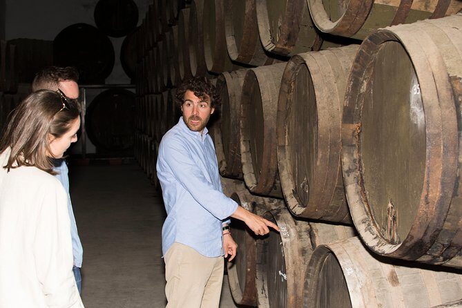 Cordoba Olive Oil mill, Wine, Passion - Who should book this olive oil + wine tour in Córdoba