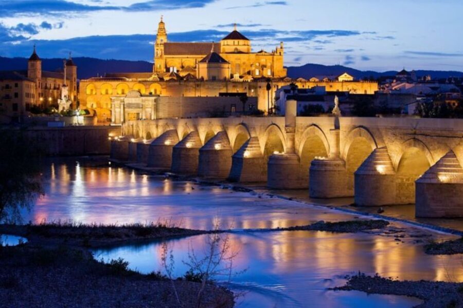 Cordoba: Private custom tour with a local guide - Who this tour is best for