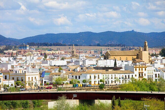 Cordoba Private Custom Walking Tour With A Guide (Private Tour) - Why a private, custom walk works in Córdoba